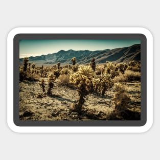 Jumping Cholla Cactus at Joshua Tree National Park Sticker